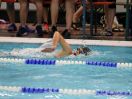 ipf 2017 VfL Jugendschwimmfestl 06.JPG