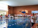 ipf 2017 Maischwimmen 06.JPG